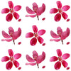 Apple Blossoms Magenta 50 pcs $16.25 CAD