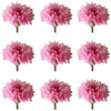 Bachelor Button Pink Micro Petals 15 pcs $5.75 CAD