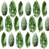 Crystallized Spearmint Leaves $28 CAD 20 pcs 1