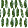 Crystallized Spearmint Leaves $23.75 CAD 15 pcs 1¼” - 1¾” (32 - 44mm)