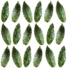 Crystallized Spearmint Leaves $31.25 CAD 25 pcs 1¾” - 2