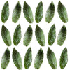 Crystallized Spearmint Leaves $27.5 CAD 15 pcs 2