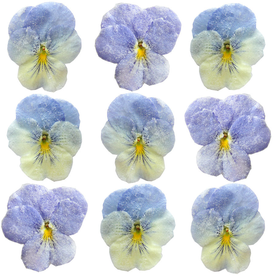Crystallized Pansies Pale Blue With White $35.25 CAD 16 pcs 1¾” - 2¾” (44 - 70mm)