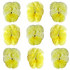 Crystallized Pansies Yellow $22.25 CAD 9 pcs 1¾” - 2¼” (44 - 57mm)