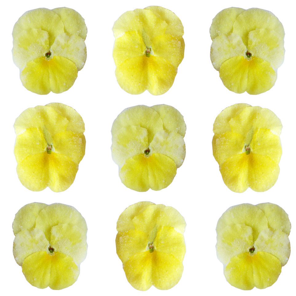 Crystallized Pansies Yellow $37.5 CAD 20 pcs 1½” - 2