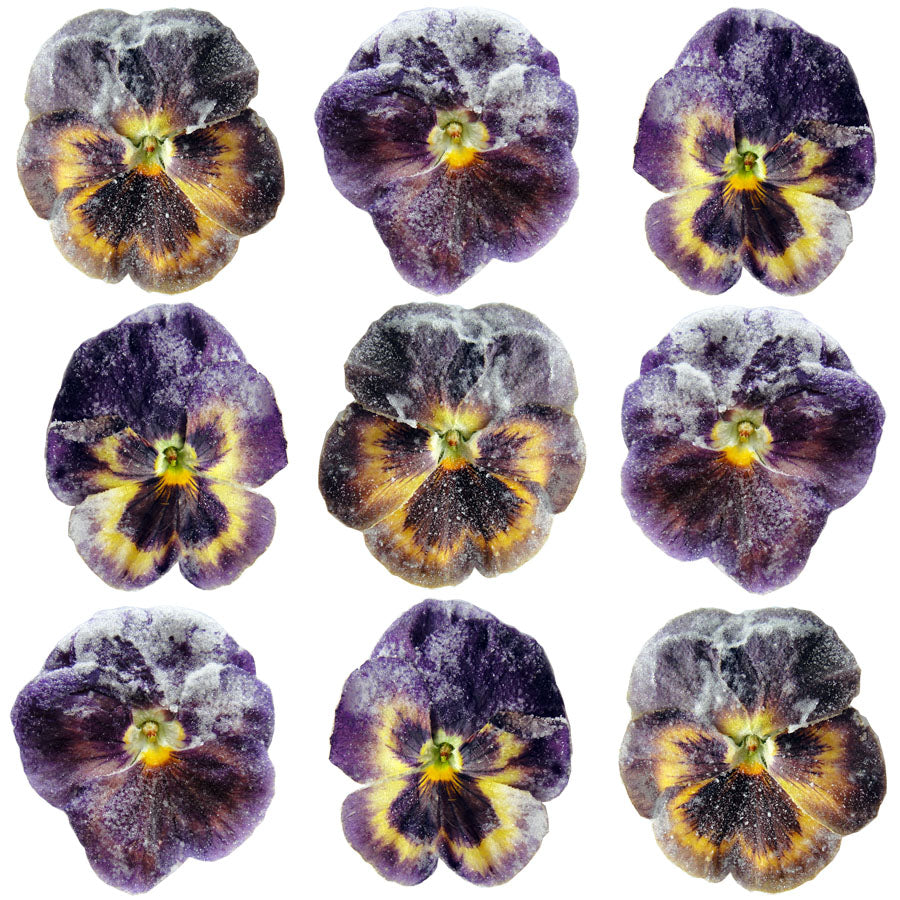 Crystallized Pansies Burgundy Yellow $30.5 CAD 12 pcs 1¾” - 2¾” (44 - 70mm)