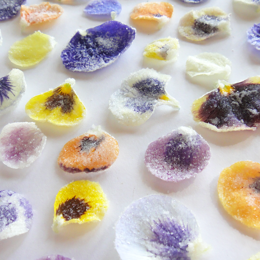 Crystallized Pansy Petals Multi Colours $16.25 CAD 15 pcs 1