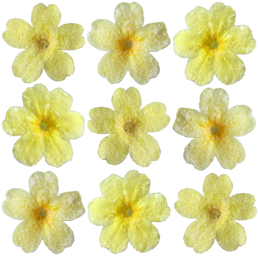 Crystallized Primula Yellow $20.25 CAD 15 pcs ¾” - 1