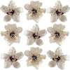Crystallized Cherry Blossoms $39.25 CAD 30 pcs ½” - ¾” (13 - 19mm)