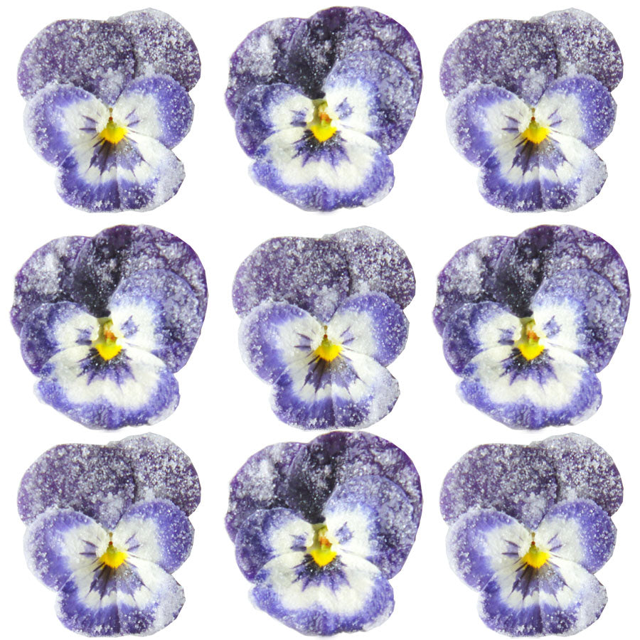 Crystallized Violets Dark Purple And White Face $20.25 CAD 12 pcs ¾” - 1½” (19 - 38mm)
