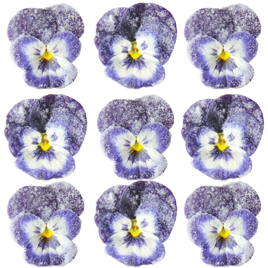 Crystallized Violets Dark Purple And White Face $30 CAD 20 pcs ¾” - 1¼” (19 - 32mm)