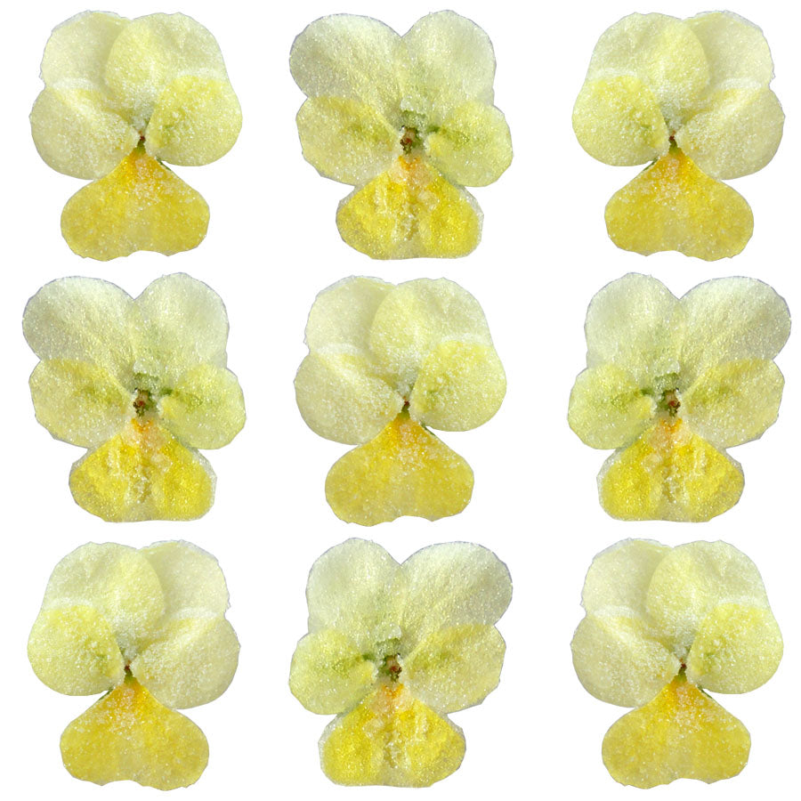 Crystallized Violets Pale Yellow $33.25 CAD 20 pcs 1¼” - 1½” (32 - 38mm)