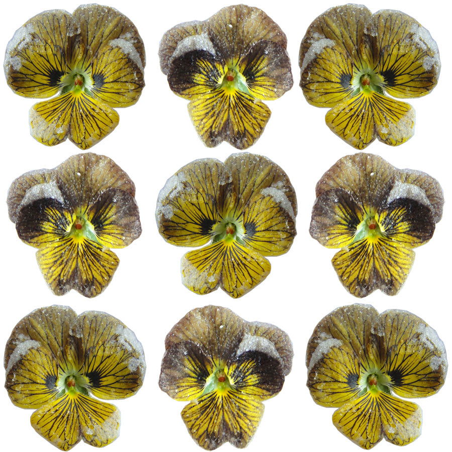 Crystallized Violets Yellow Striped $20.25 CAD 12 pcs 1