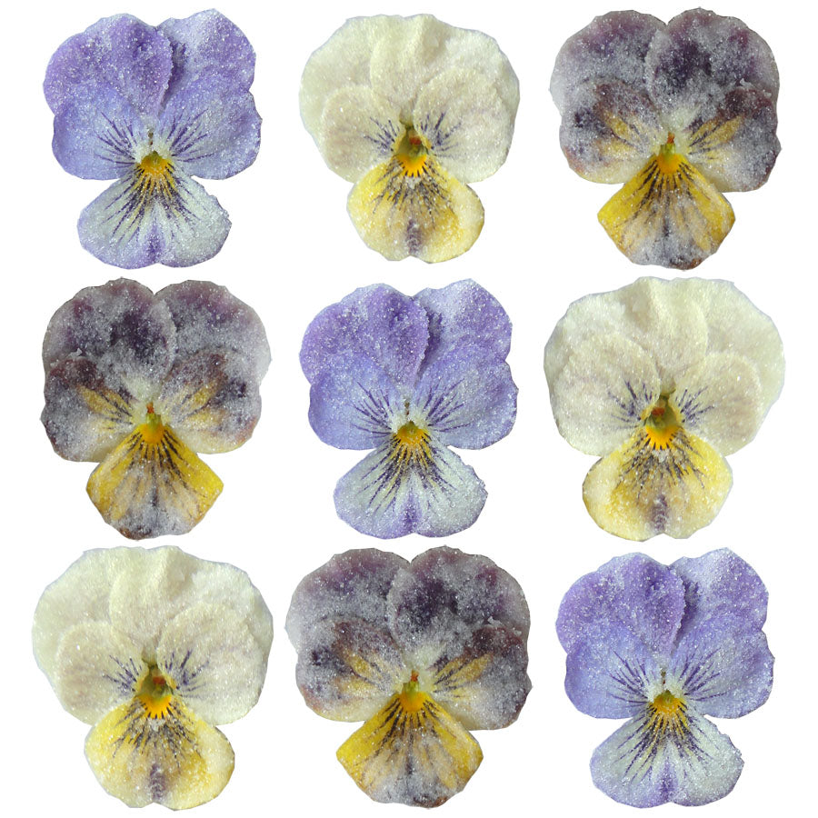 Crystallized Violets Burgundy Purple Yellow $21.75 CAD 12 pcs 1¼” - 1½” (32 - 38mm)