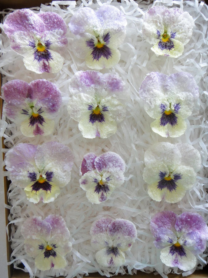 No photo available, please check later