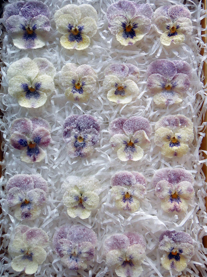 No photo available, please check later