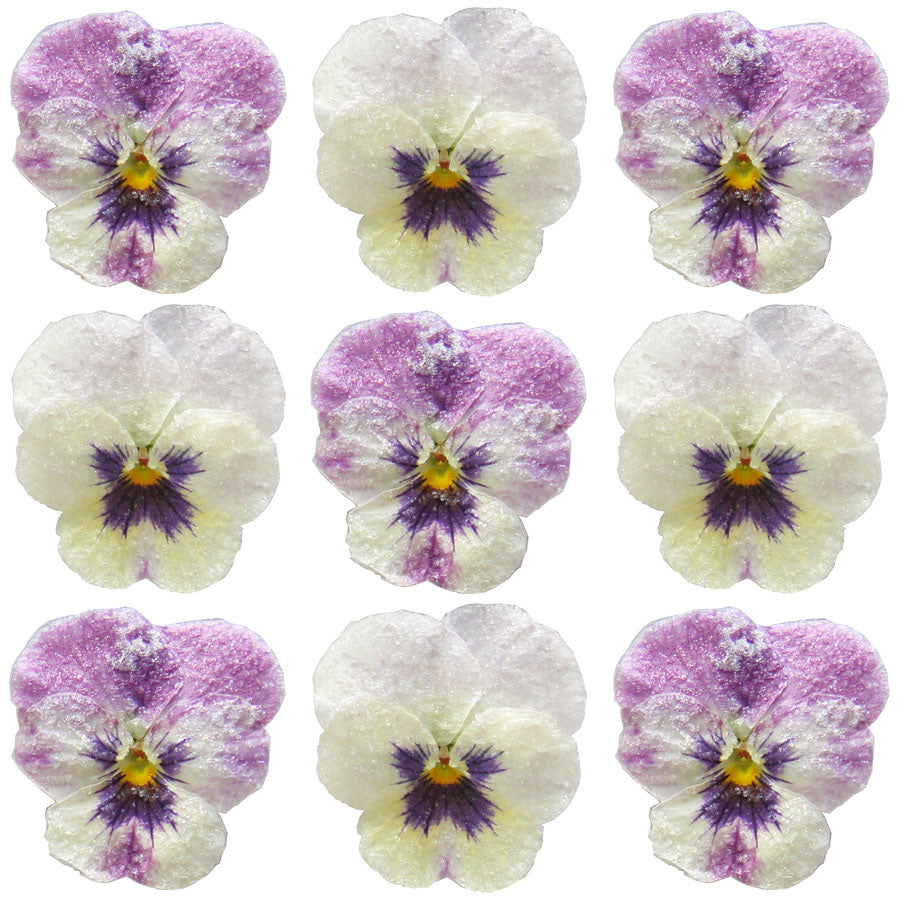 Crystallized Violets Raspberry Face $20.25 CAD 12 pcs ¾” - 1¼” (19 - 32mm)