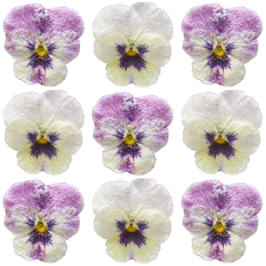 Crystallized Violets Raspberry Face $31.5 CAD 20 pcs 1