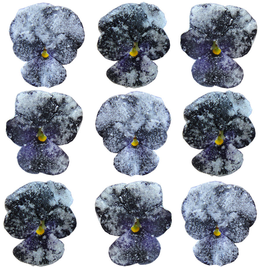 Crystallized Violets Black $21.85 CAD 12 pcs 1¼” - 1½” (32 - 38mm)