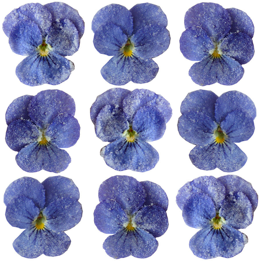 Crystallized Violets Periwinkle Blue $20.25 CAD 12 pcs 1