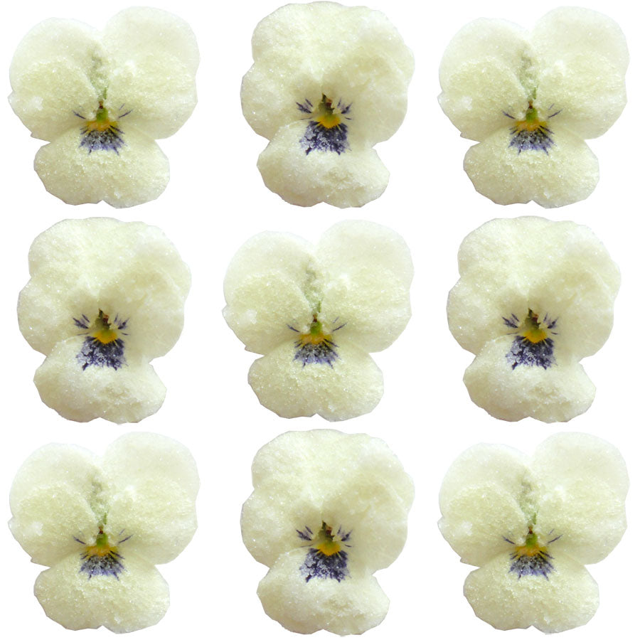 Crystallized Violets White With Purple Face $20.25 CAD 12 pcs 1