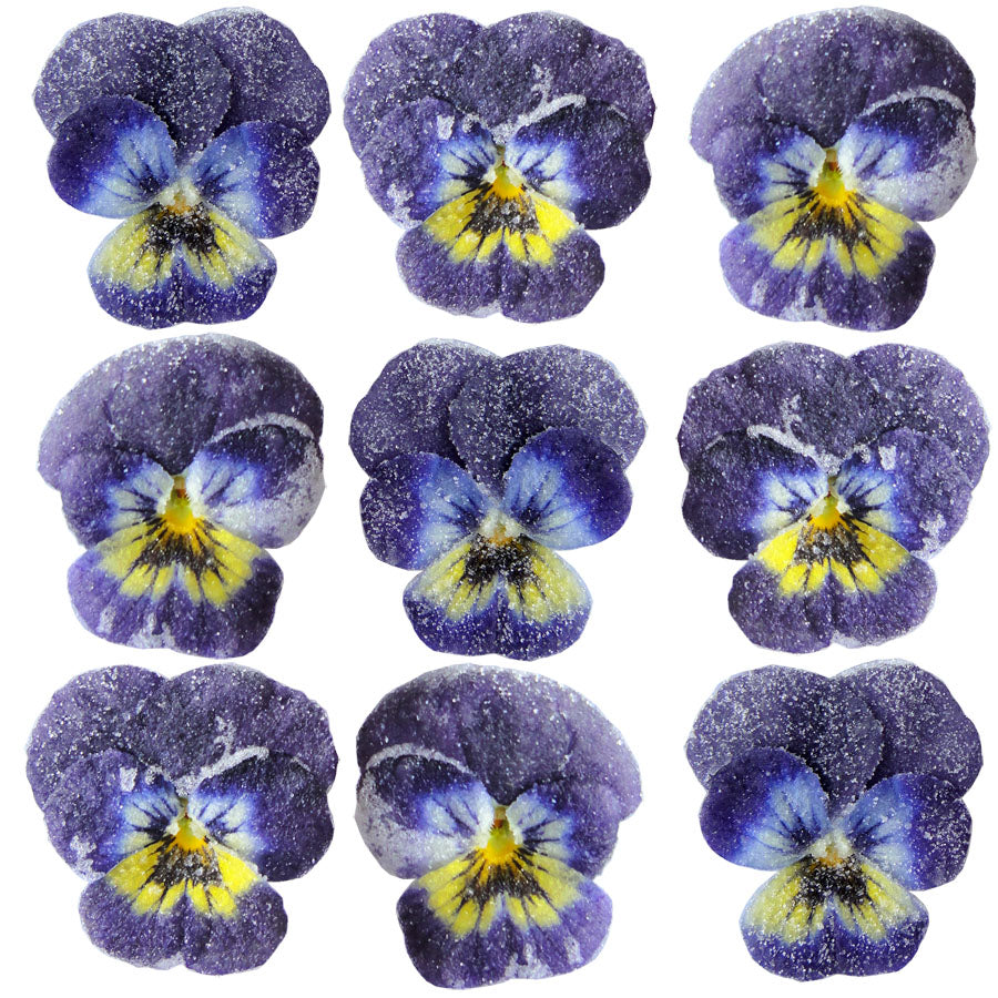 Crystallized Violets Blue Purple Yellow Face $21.85 CAD 12 pcs 1¼” - 1½” (32 - 38mm)