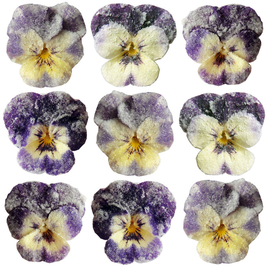 Crystallized Violets Purple Yellow Face $21.85 CAD 12 pcs 1¼” - 1½” (32 - 38mm)