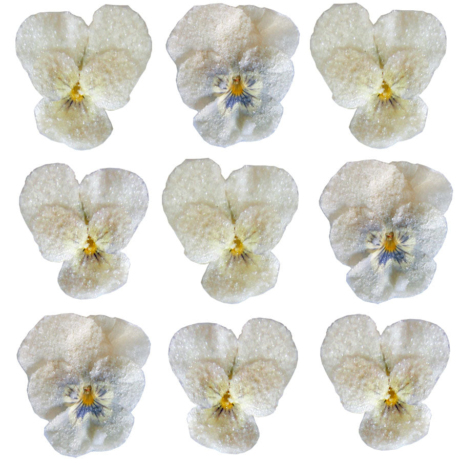 Crystallized Faded Violets White And Purple Face $16.75 CAD 12 pcs 1¼” - 1½” (32 - 38mm)