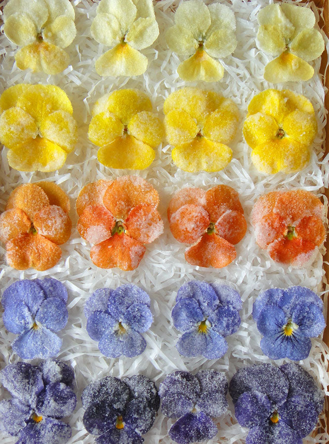 No photo available, please check later