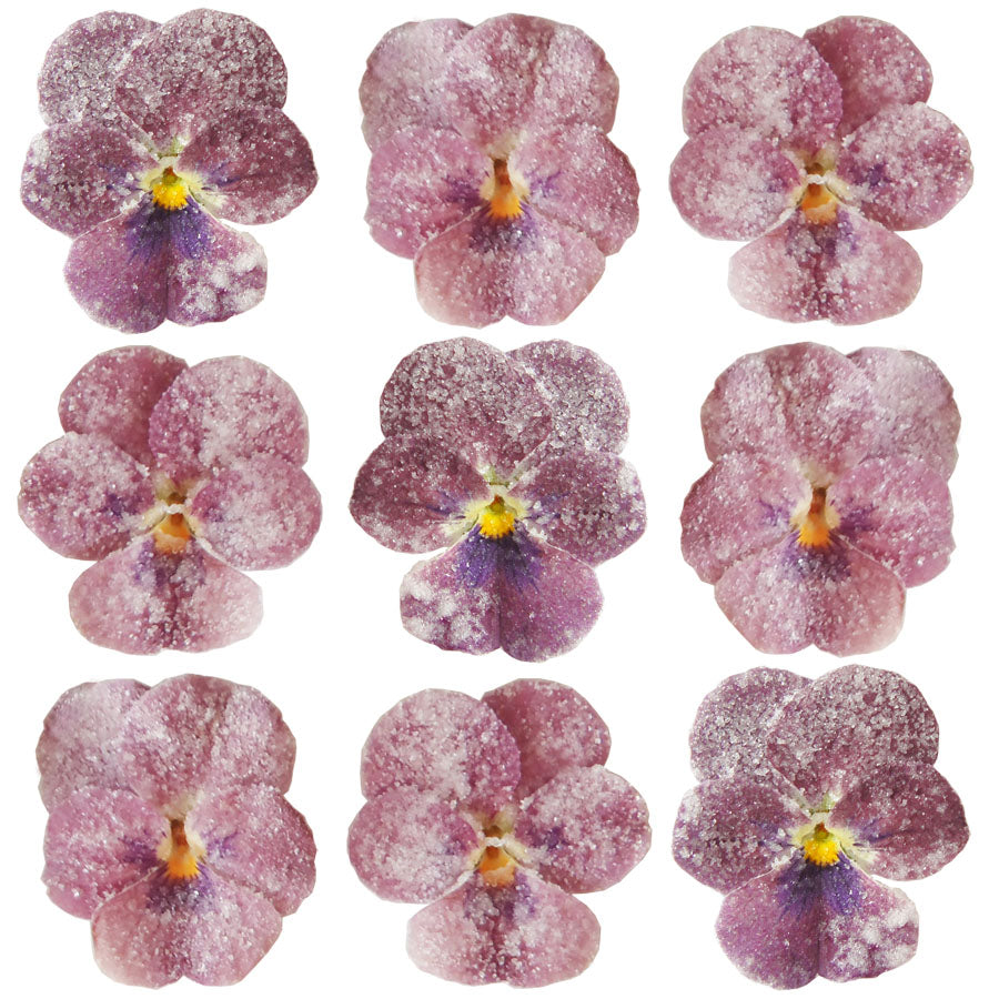 Crystallized Violets Carmine $21.85 CAD 12 pcs 1¼” - 1½” (32 - 38mm)