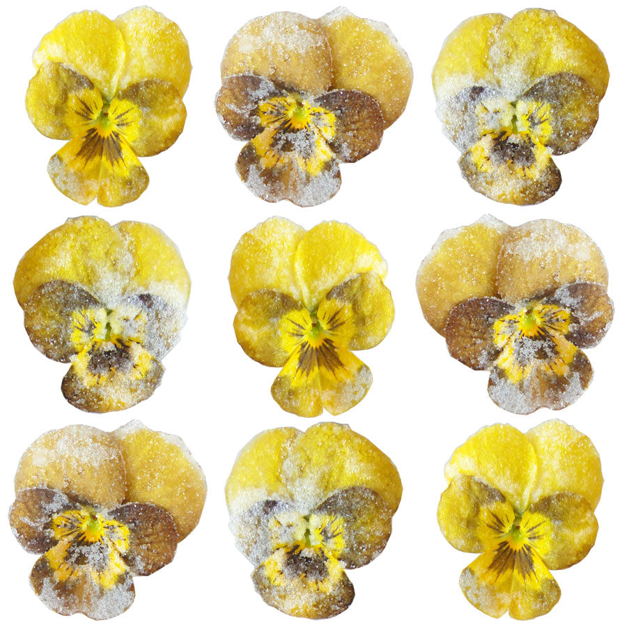 Crystallized Violets Yellow And Brown $20.25 CAD 12 pcs 1