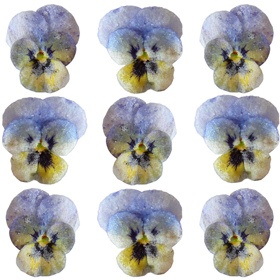 Crystallized Violets Blue Yellow With Dark Face $20.25 CAD 12 pcs 1
