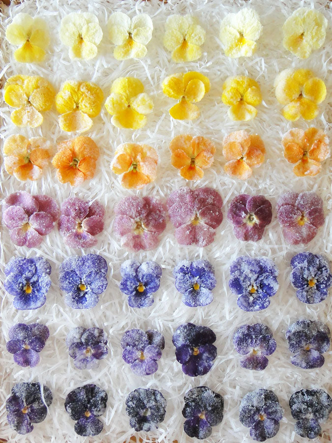 No photo available, please check later