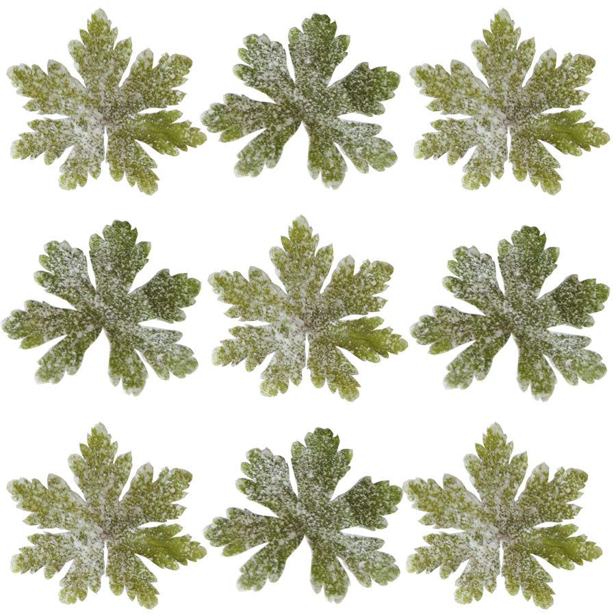 Crystallized Geranium Leaves $50 CAD 20 pcs 2