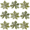 Crystallized Geranium Leaves $50 CAD 20 pcs 2