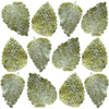 Crystallized Lemon Balm $23.4 CAD 16 pcs 1