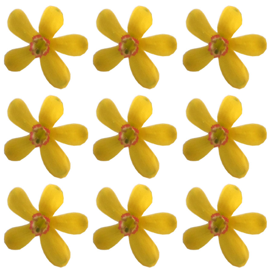 Currant Micro Flowers Gold 100 pcs $20.75 CAD