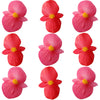 Begonia Flower Lg Mix Pink Red 24 pcs $10.75 CAD