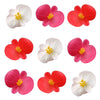 Begonia Flower Small Micro Mix 24 pcs $5.75 CAD