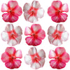 Geranium Pink-on-pink Flowers + Stems 36 pcs $20.95 CAD