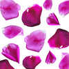 Cooking Grade Rose Petals 1.5c 175 pcs $26.25 CAD