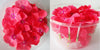 No photo available, please check later
