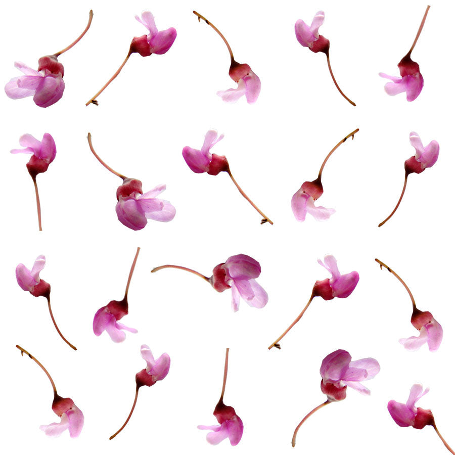 Seasonal Spring Redbud Flowers 75 pcs $12.25 CAD
