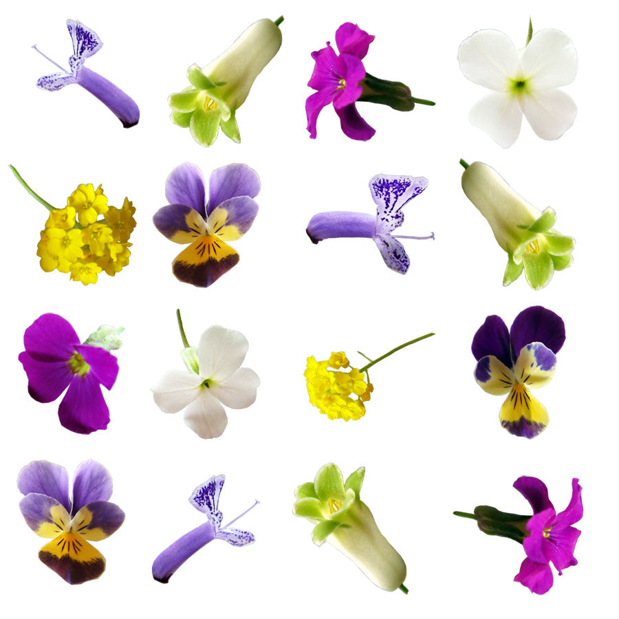 Seasonal Spring Micro Mix 'sophisitcated Spring' 50 pcs $10.75 CAD