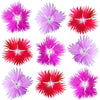 Sweet William Flowers Fringed Mix 24 pcs $10.25 CAD