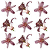 Toad Lily Flowers 9 pcs $6.75 CAD