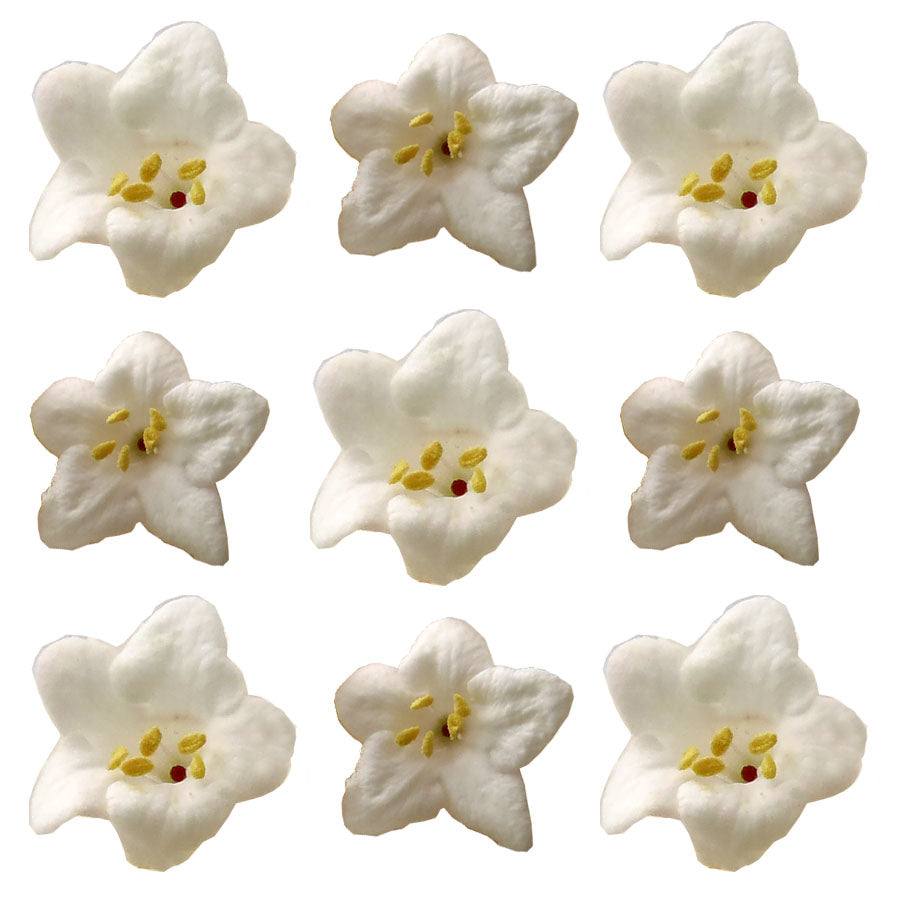 Viburnum Micro Flowers 50 pcs $9.25 CAD