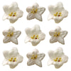 Viburnum Micro Flowers 50 pcs $9.25 CAD