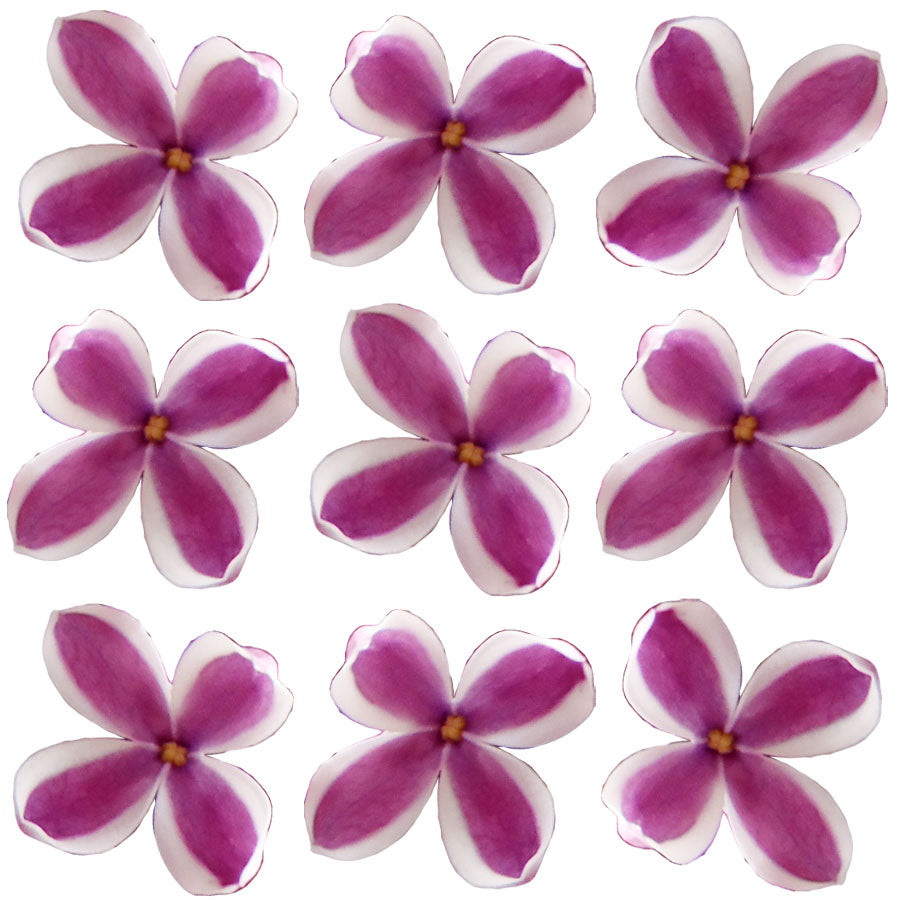 Lilac Micro Flowers Purple And White 200 pcs $37.75 CAD