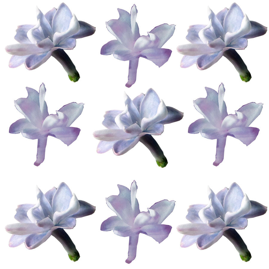 Lilac Micro Flowers Blue Mauve 125 pcs $25.75 CAD